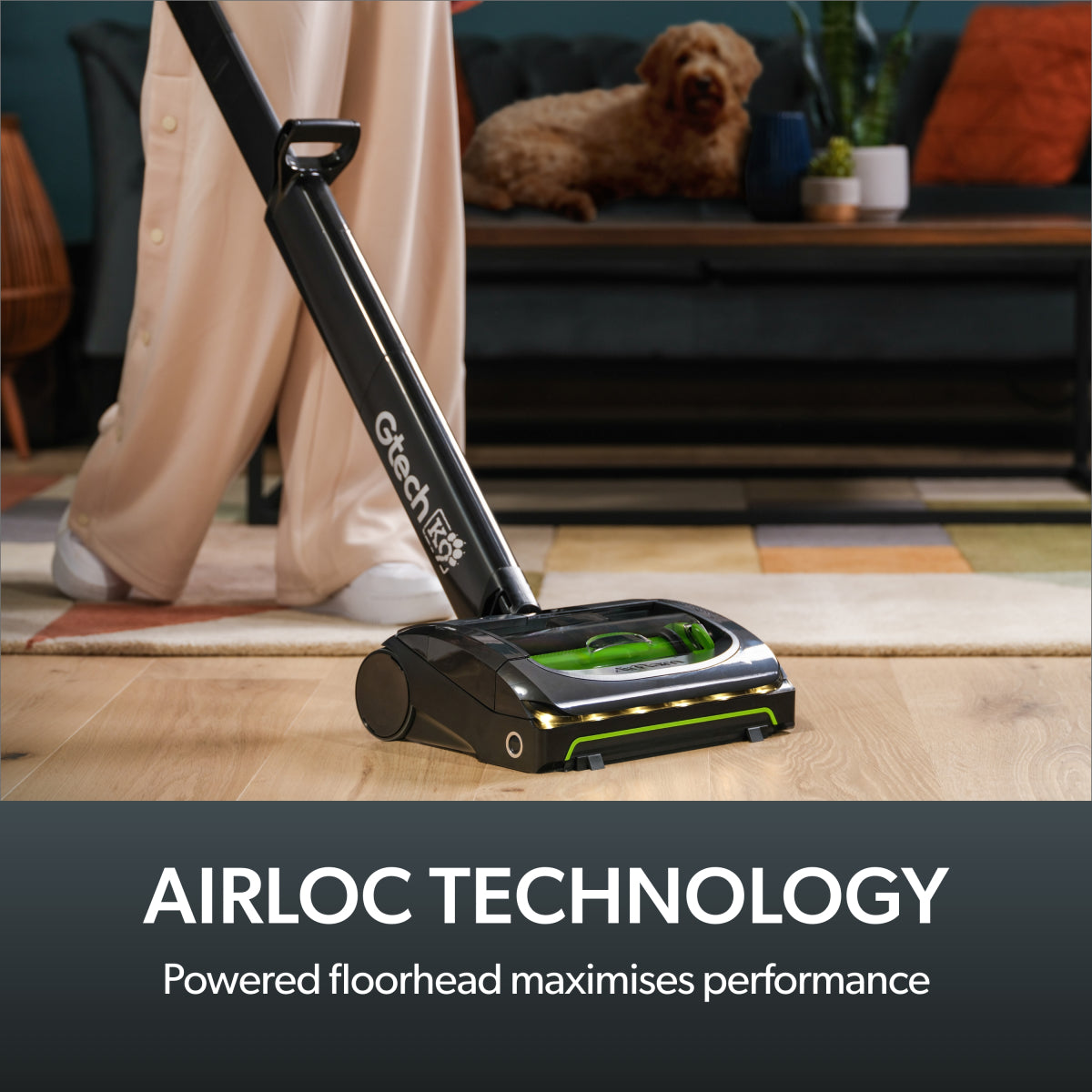 Cordless Pet Hair Vacuum Cleaner for Carpets and Hard Floors